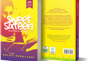 Sweet Sixteen Novel Summary