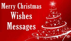 100+ Merry Christmas Texts and Wishes for December 2020