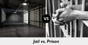 Contrasts Between Jail And Prison