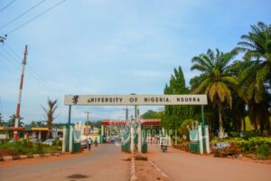 Requirements To Study Linguistics At UNN