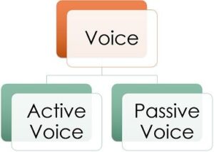 Contrast Between Active Voice And Passive Voice