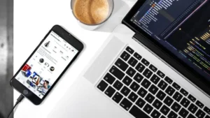 Web Development or App Development: