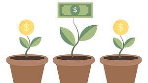 Unveiling Non-profit Organizations Revenue Generation