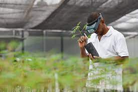 Subject Combinations for JAMB