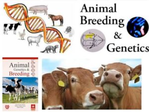 JAMB Subjects for Animal Breeding and Genetics