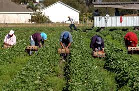 Challenges Confronting Agriculture in Africa
