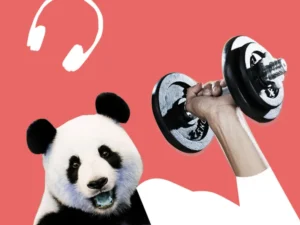 ultimate exercise playlist